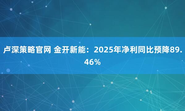卢深策略官网 金开新能：2025年净利同比预降89.46%